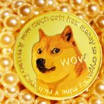 Dogecoin : A Popular Crypto on the Rise
