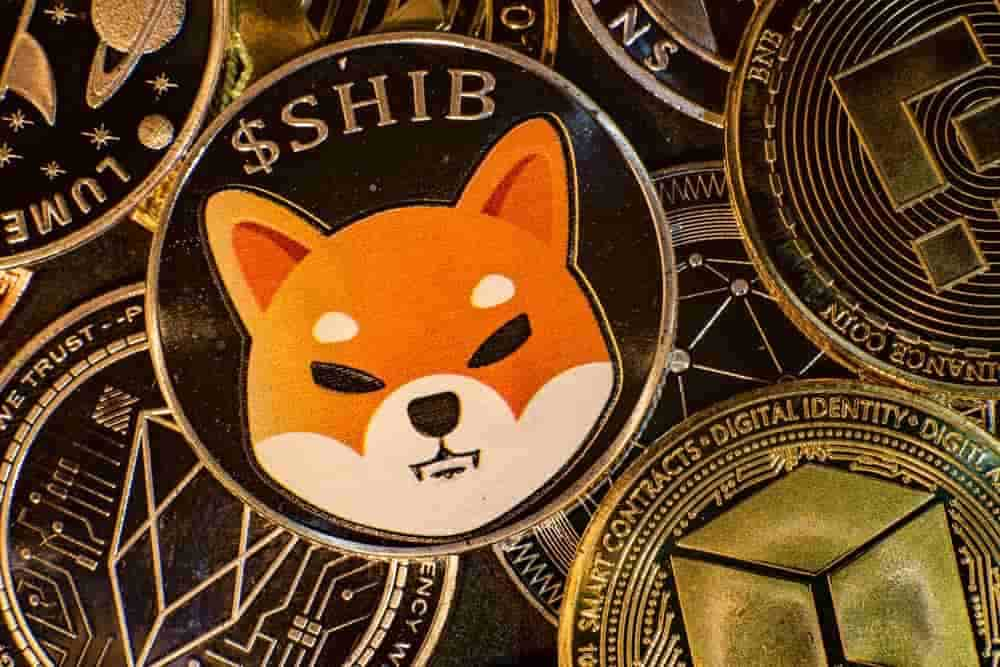 Шиба-ину: криптовалюты , вдохновленная Dogecoin