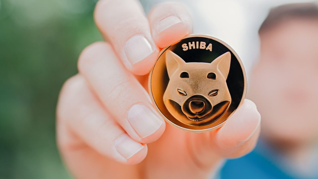 Shiba-Inu: A strong and committed community